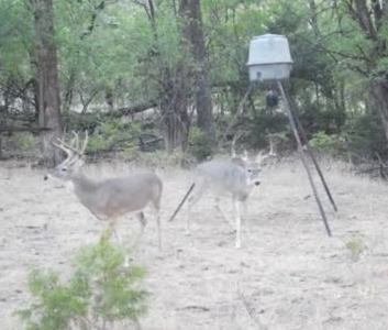 Hunting and Cattle Ranch for Sale in Oklahoma - image 10