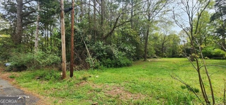 Build Ready Lot in Washington 0.19 Acres with Utilities on Site - image 3