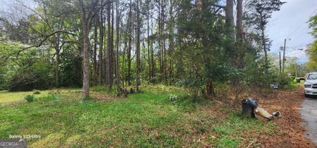 Build Ready Lot in Washington 0.19 Acres with Utilities on Site - image 4