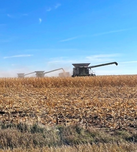 South Dakota Large Grain Farm With Improvements - image 41