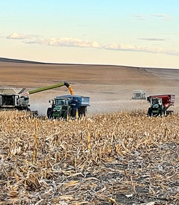 South Dakota Large Grain Farm With Improvements - image 16