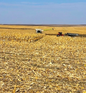 South Dakota Large Grain Farm With Improvements - image 42