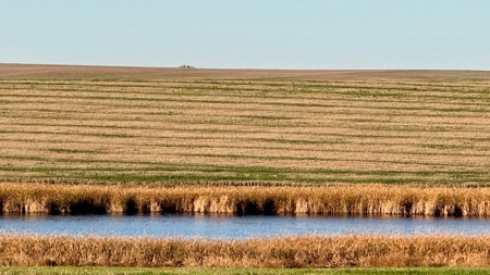 South Dakota Large Grain Farm With Improvements - image 32