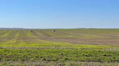 South Dakota Large Grain Farm With Improvements - image 10