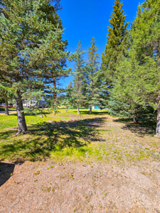 Home on 2.2 Creekfront Acres – Lincoln, MT - image 6
