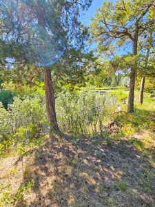 Home on 2.2 Creekfront Acres – Lincoln, MT - image 11