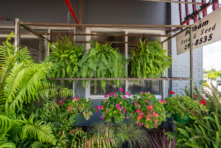 Pelham Feed & Seed - Turn key Business - image 41