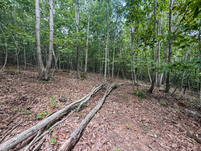 Country Living At It's Best Halifax County Virginia - image 14