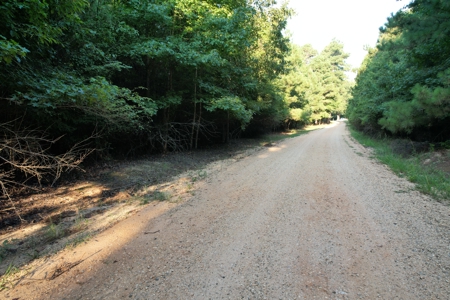 Timberland & Hunting Land For Sale in Bradley County, AR - image 2
