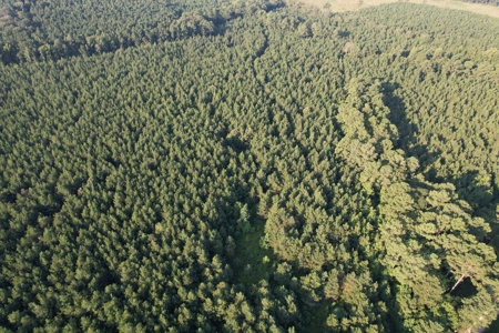 Timberland & Hunting Land For Sale in Bradley County, AR - image 1