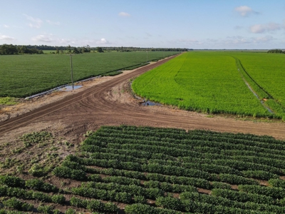 500 +/- Acres Precision Leveled and Irrigated AR Farmland - image 21