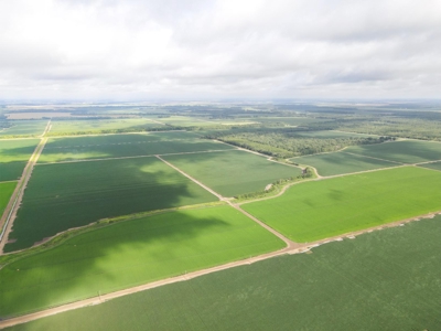 500 +/- Acres Precision Leveled and Irrigated AR Farmland - image 8