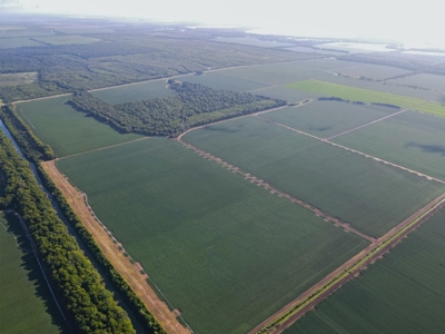 500 +/- Acres Precision Leveled and Irrigated AR Farmland - image 31