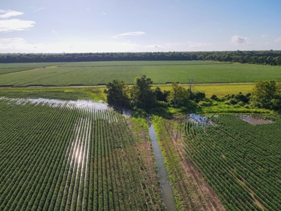 500 +/- Acres Precision Leveled and Irrigated AR Farmland - image 23
