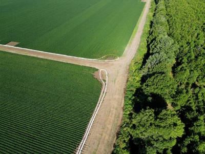 500 +/- Acres Precision Leveled and Irrigated AR Farmland - image 26