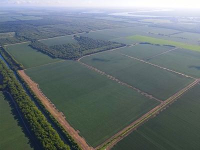 500 +/- Acres Precision Leveled and Irrigated AR Farmland - image 32