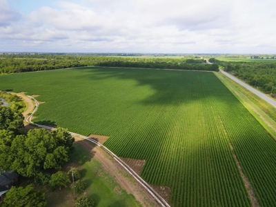 500 +/- Acres Precision Leveled and Irrigated AR Farmland - image 11
