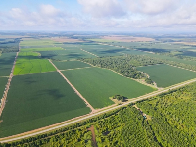500 +/- Acres Precision Leveled and Irrigated AR Farmland - image 1