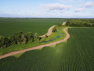 500 +/- Acres Precision Leveled and Irrigated AR Farmland - image 25