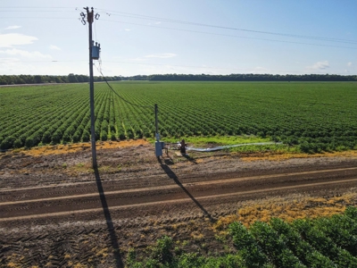 500 +/- Acres Precision Leveled and Irrigated AR Farmland - image 19