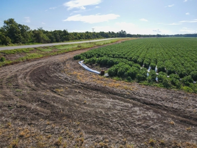 500 +/- Acres Precision Leveled and Irrigated AR Farmland - image 18