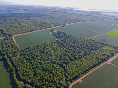 500 +/- Acres Precision Leveled and Irrigated AR Farmland - image 37