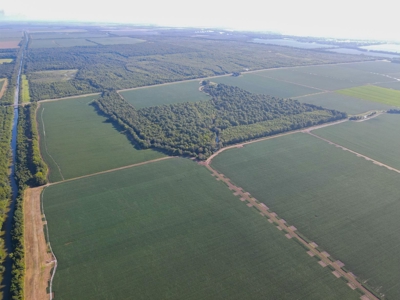 500 +/- Acres Precision Leveled and Irrigated AR Farmland - image 33