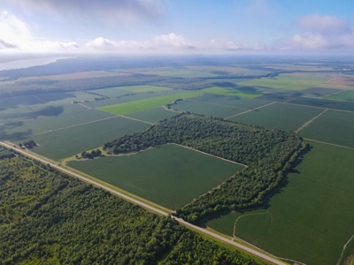 500 +/- Acres Precision Leveled and Irrigated AR Farmland - image 3