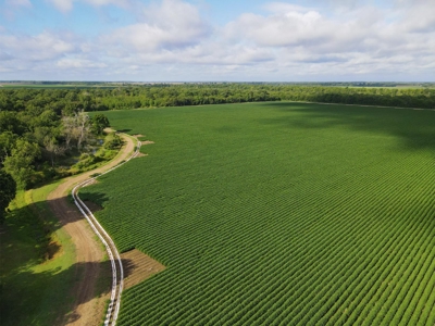 500 +/- Acres Precision Leveled and Irrigated AR Farmland - image 10
