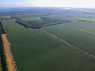 500 +/- Acres Precision Leveled and Irrigated AR Farmland - image 30