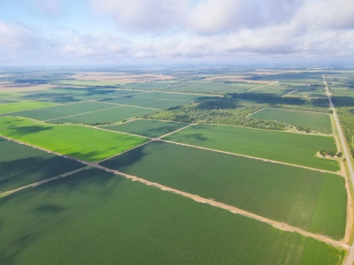500 +/- Acres Precision Leveled and Irrigated AR Farmland - image 12