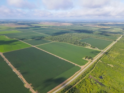 500 +/- Acres Precision Leveled and Irrigated AR Farmland - image 6