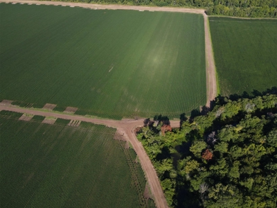 500 +/- Acres Precision Leveled and Irrigated AR Farmland - image 28