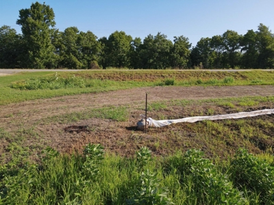 500 +/- Acres Precision Leveled and Irrigated AR Farmland - image 16
