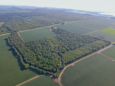 500 +/- Acres Precision Leveled and Irrigated AR Farmland - image 34