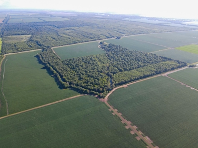 500 +/- Acres Precision Leveled and Irrigated AR Farmland - image 36