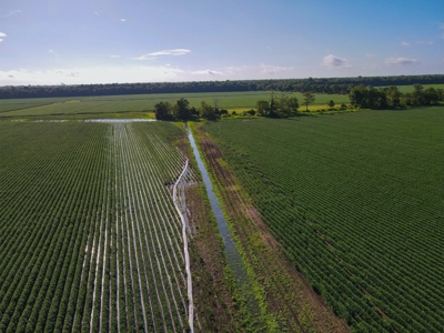 500 +/- Acres Precision Leveled and Irrigated AR Farmland - image 22