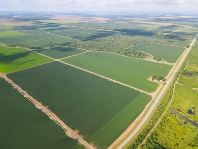 500 +/- Acres Precision Leveled and Irrigated AR Farmland - image 9