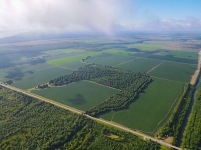 500 +/- Acres Precision Leveled and Irrigated AR Farmland - image 5