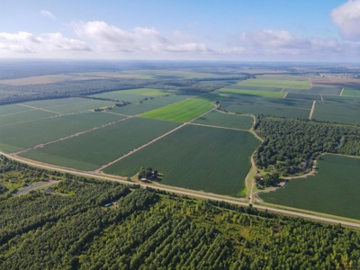 500 +/- Acres Precision Leveled and Irrigated AR Farmland - image 2