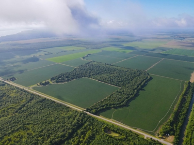 500 +/- Acres Precision Leveled and Irrigated AR Farmland - image 4