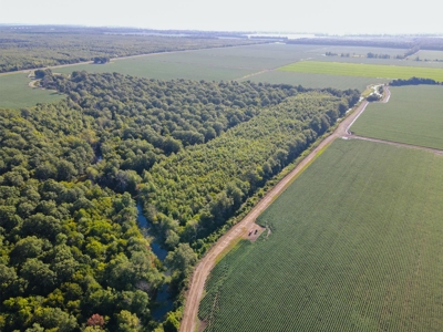 500 +/- Acres Precision Leveled and Irrigated AR Farmland - image 29