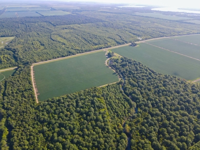 500 +/- Acres Precision Leveled and Irrigated AR Farmland - image 35
