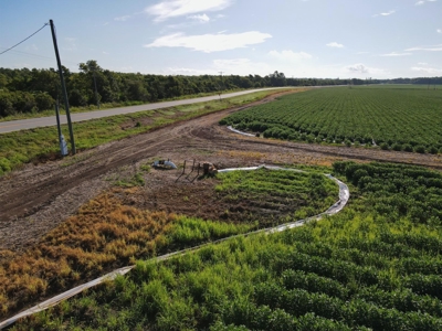 500 +/- Acres Precision Leveled and Irrigated AR Farmland - image 17