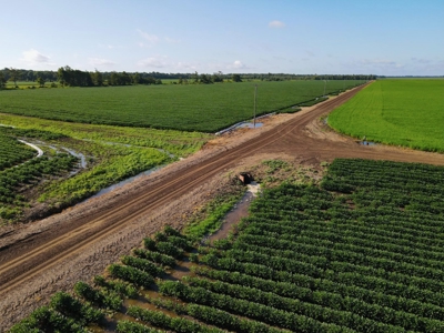 500 +/- Acres Precision Leveled and Irrigated AR Farmland - image 20