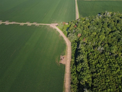 500 +/- Acres Precision Leveled and Irrigated AR Farmland - image 27