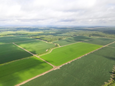 500 +/- Acres Precision Leveled and Irrigated AR Farmland - image 14