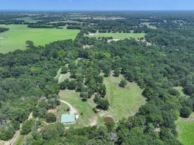Country Home for sale in Alba, TX - image 30