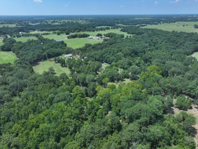 Country Home for sale in Alba, TX - image 36