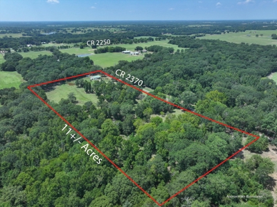 Country Home for sale in Alba, TX - image 35